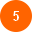 5 . 1. Fix Names button